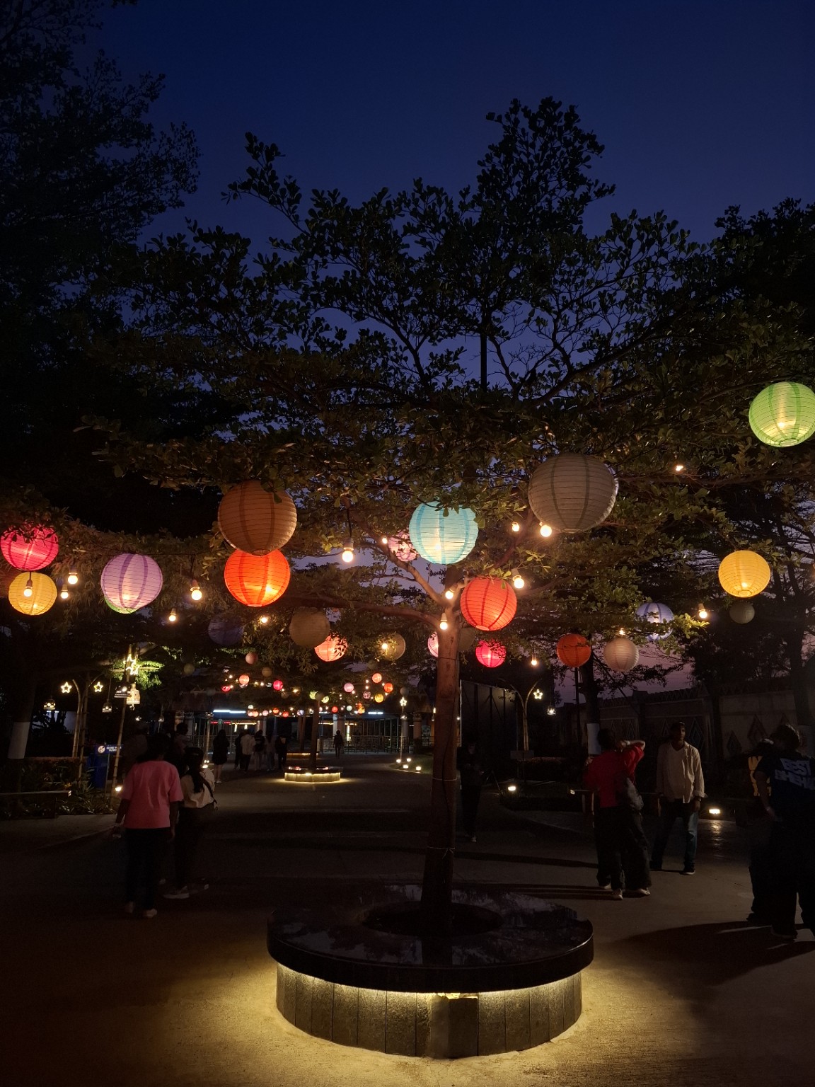 LANTERN WALK / DUSK